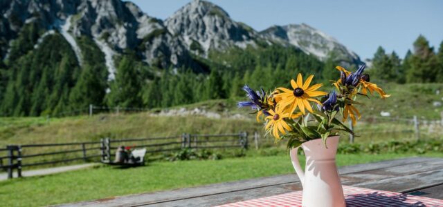 Almsommer Zauchensee Berge Salzburger Land