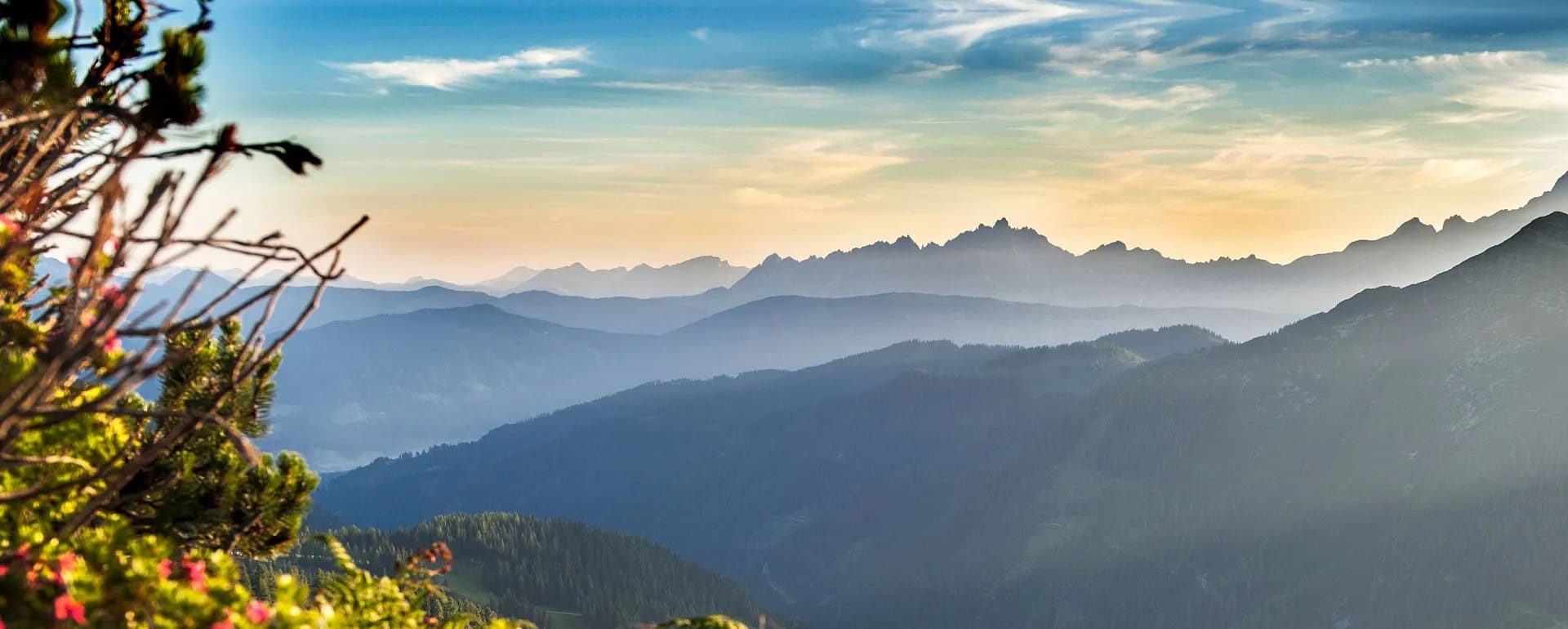 Morgenstimmung Berg Zauchensee Sommer 01
