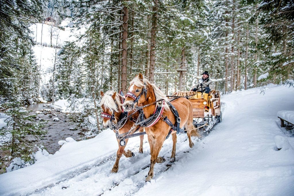 Winterurlaub in Altenmarkt-Zauchensee, Ski amadé